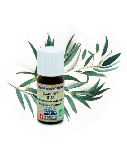Cajeput BIO Huiles essentielles Laboratoires Bioligo