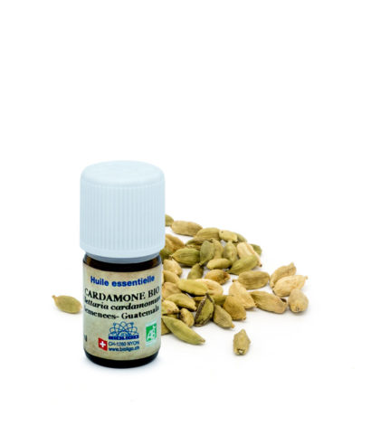 Cardamome BIO Huiles essentielles Laboratoires Bioligo