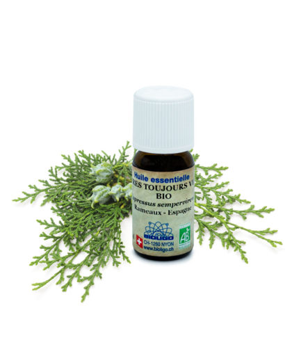 Cyprès toujours vert BIO Huiles essentielles Laboratoires Bioligo