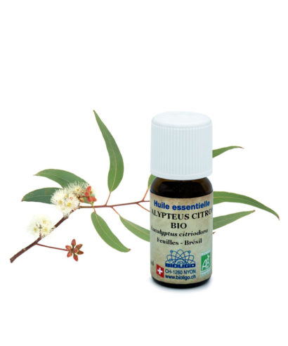 Eucalyptus citronné BIO Huiles essentielles Laboratoires Bioligo