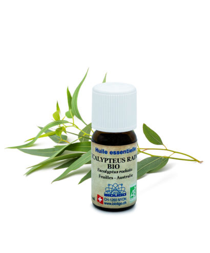 Eucalyptus radiata BIO Huiles essentielles Laboratoires Bioligo