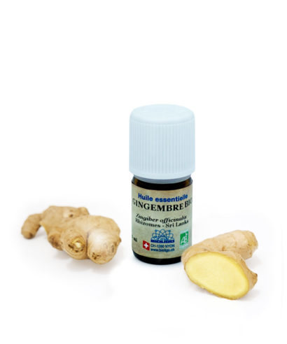 Gingembre BIO Huiles essentielles Laboratoires Bioligo