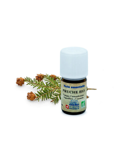 Pruche BIO Huiles essentielles Laboratoires Bioligo
