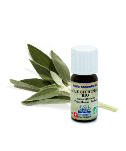 Sauge officinale BIO Huiles essentielles Laboratoires Bioligo