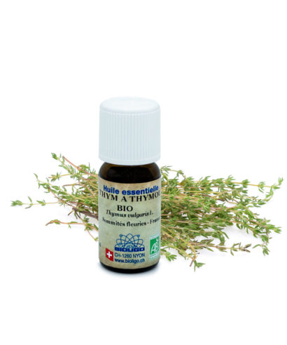 Thym à thymol BIO Huiles essentielles Laboratoires Bioligo