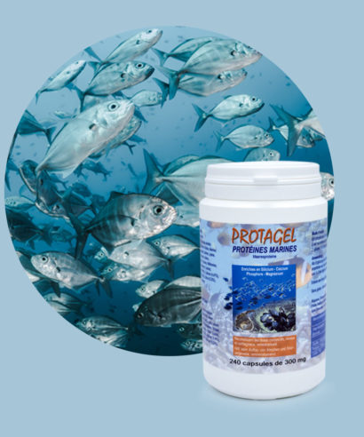 Protagel acides aminés Laboratoires Bioligo