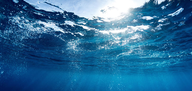 Img Plasma Marin Propos'Nature Laboratoires Bioligo