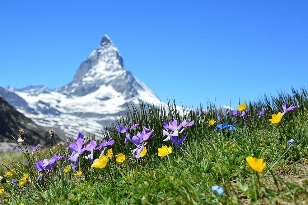 Matterhorn Cervin Suisse Notre Philosophie Laboratoires Bioligo