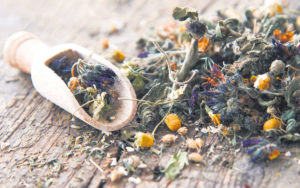 Les Fleurs de Bach pour prévenir l'hiver Interview Marianne Deville