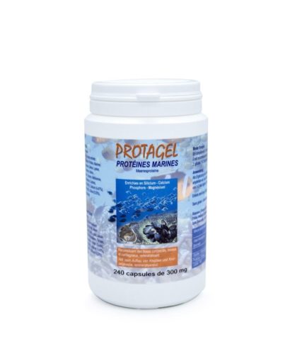 Protagel Protéines Marines enrichies 240 capsules Laboratoires Bioligo