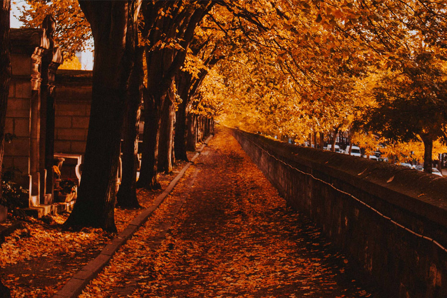 Cimetière du père Lachaise (Paris) Laboratoires Bioligo