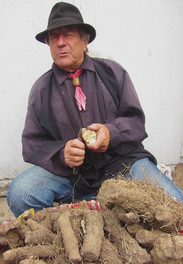 Les plantes du père Jean Laboratoires Bioligo