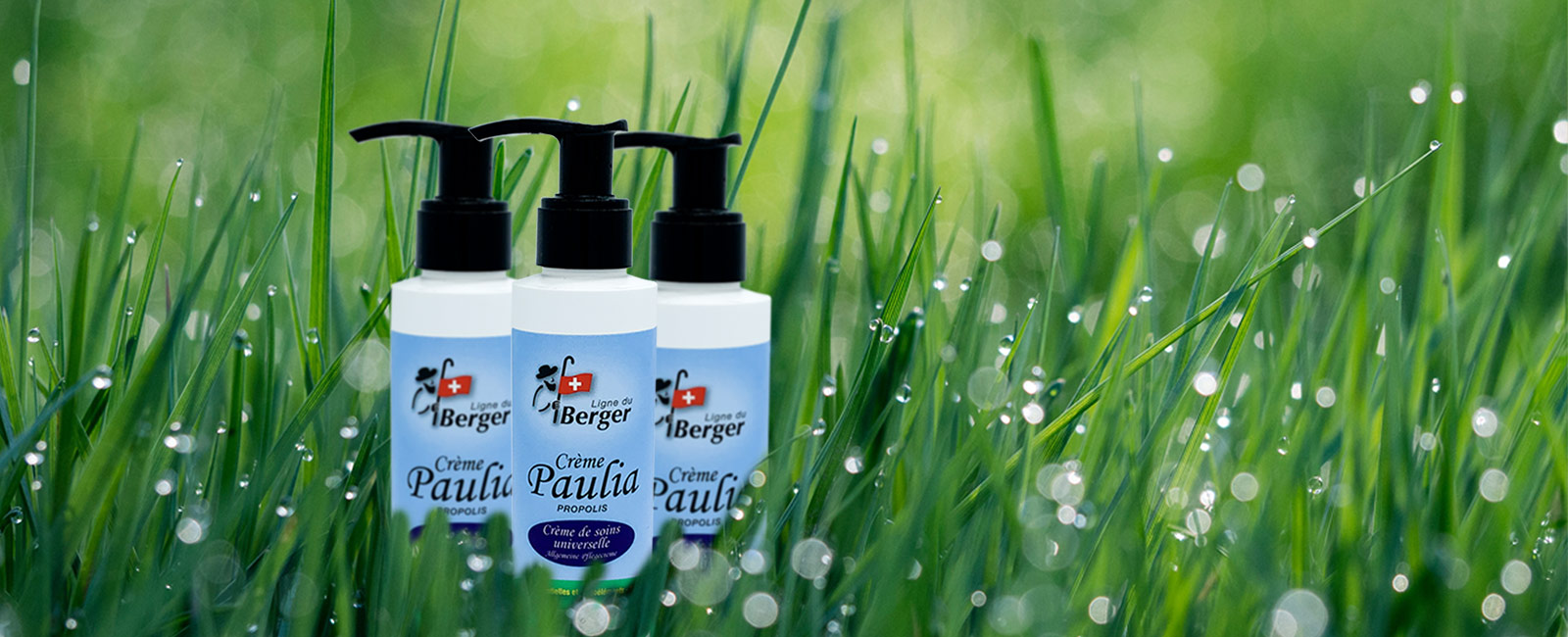 Bannière crème Paulia Laboratoires Bioligo