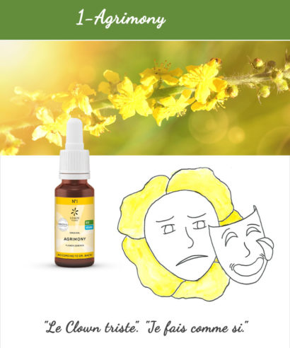 1. Agrimony - Fleur de Bach Bio 20ml Laboratoires Bioligo
