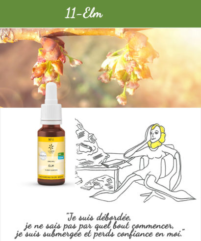 11. Elm - Fleur de Bach Bio 20ml Laboratoires Bioligo