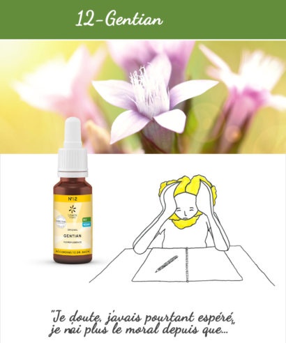 12. Gentian - Fleur de Bach Bio 20ml Laboratoires Bioligo
