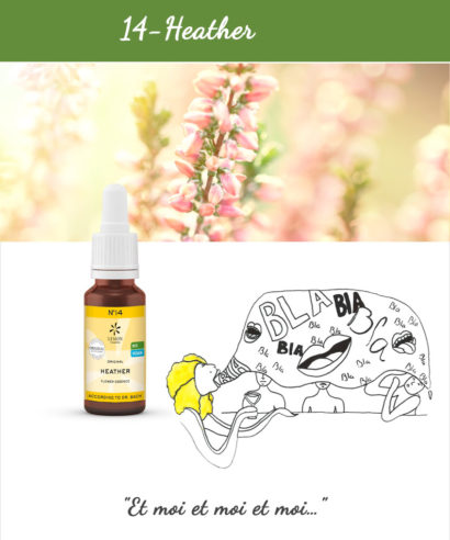 14. Heather - Fleur de Bach Bio 20ml Laboratoires Bioligo
