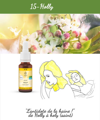 15. Holly - Fleur de Bach Bio 20ml Laboratoires Bioligo