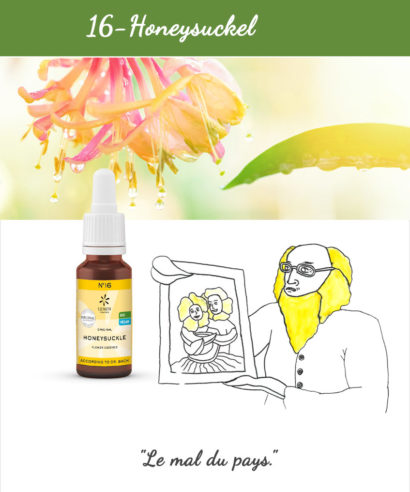 16. Honeysuckle - Fleur de Bach Bio 20ml Laboratoires Bioligo