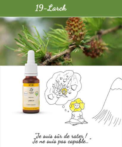 19. larch - Fleur de Bach Bio 20ml Laboratoires Bioligo