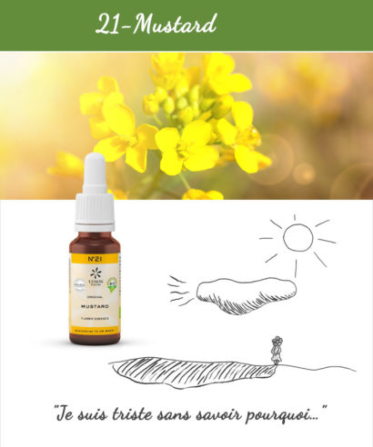 21. Mustard - Fleur de Bach Bio 20ml Laboratoires Bioligo