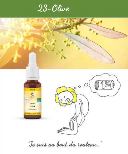 23. Olive - Fleur de Bach Bio 20ml Laboratoires Bioligo