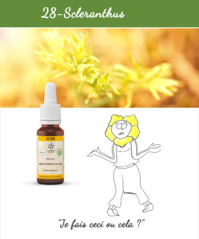 28. Scleranthus - Fleur de Bach Bio 20ml Laboratoires Bioligo
