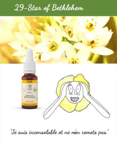29. Star of Bethleem - Fleur de Bach Bio 20ml Laboratoires Bioligo