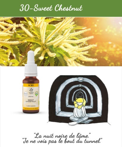 30. Sweet Chestnut - Fleur de Bach Bio 20ml Laboratoires Bioligo