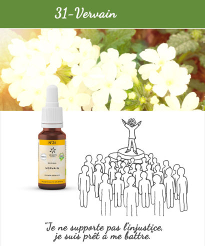 31. Vervain - Fleur de Bach Bio 20ml Laboratoires Bioligo