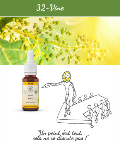 32. Vine - Fleur de Bach Bio 20ml Laboratoires Bioligo