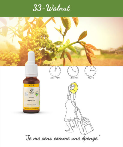 33. Walnut - Fleur de Bach Bio 20ml Laboratoires Bioligo