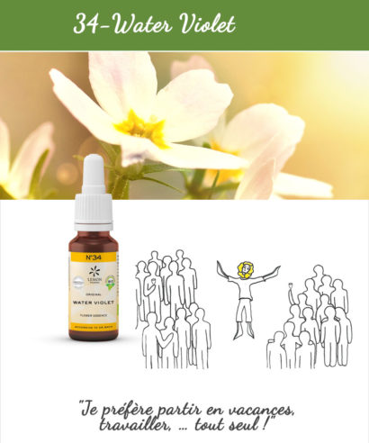 34. Water Violet - Fleur de Bach Bio 20ml Laboratoires Bioligo