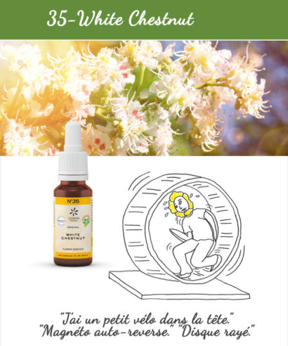 35. White Chestnut - Fleur de Bach Bio 20ml Laboratoires Bioligo