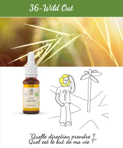 36. Wild Oat - Fleur de Bach Bio 20ml Laboratoires Bioligo
