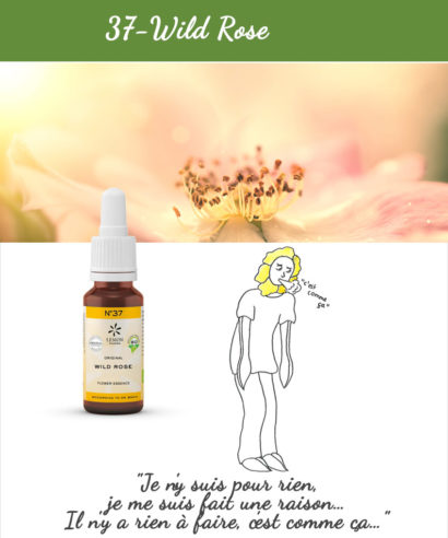37. Wild Rose - Fleur de Bach Bio 20ml Laboratoires Bioligo