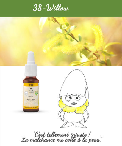 38. Willow - Fleur de Bach Bio 20ml Laboratoires Bioligo