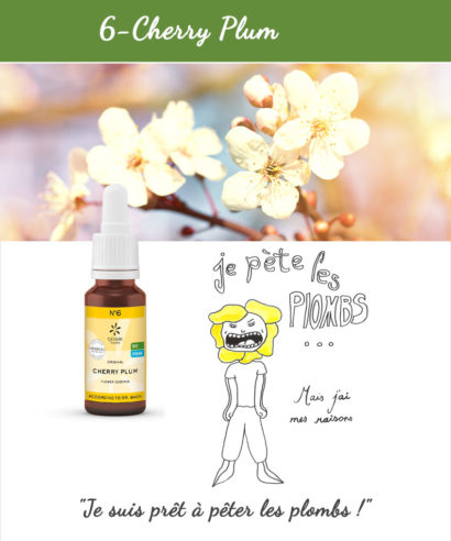 6. Cherry Plum - Fleur de Bach Bio 20ml Laboratoires Bioligo