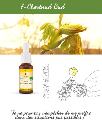 7. Chestnud - Fleur de Bach Bio 20ml Laboratoires Bioligo