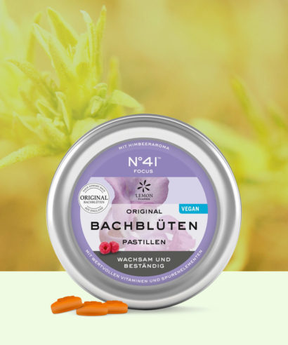 Concentration Gommes Fleurs de Bach BIO Laboratoires Bioligo