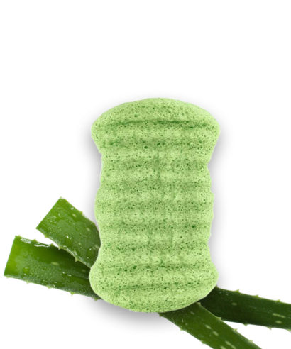 Éponge konjak corps Aloe vera Laboratoires Bioligo