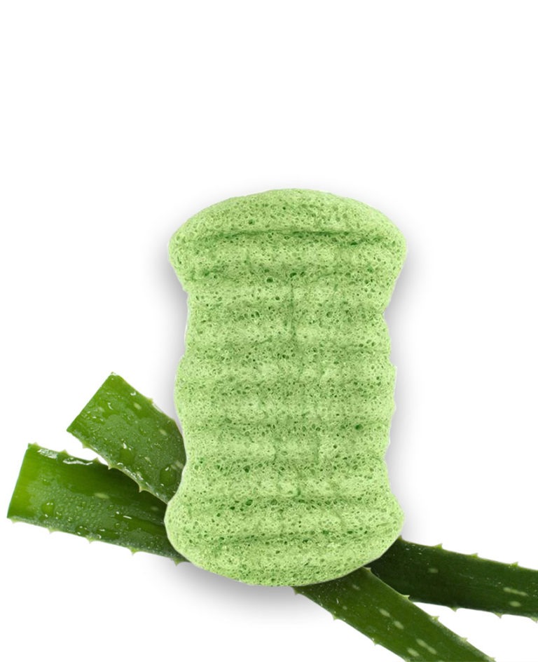Éponge konjak corps Aloe vera Laboratoires Bioligo