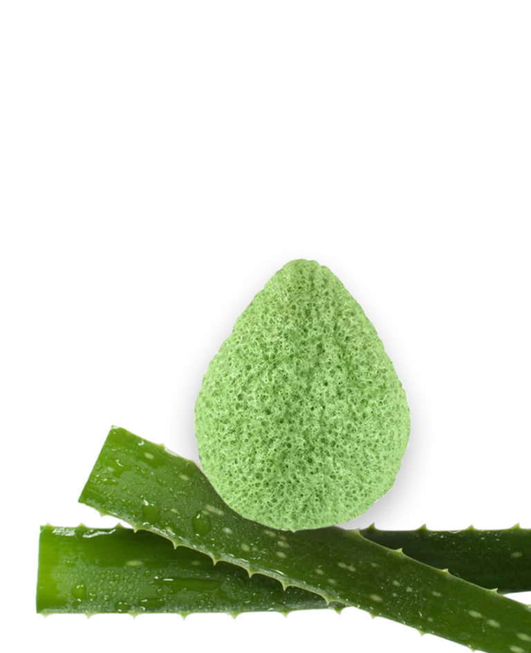 Éponge konjak visage Aloe vera Laboratoires Bioligo