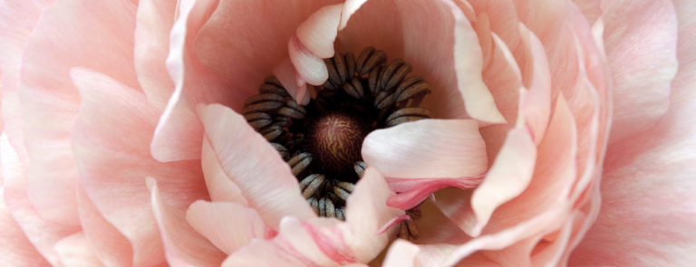 Bannière parfum 4 HeiPoa Laboratoires Bioligo