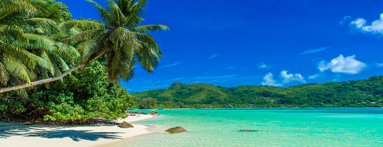 Bannière solaire 4 HeiPoa Laboratoires Bioligo