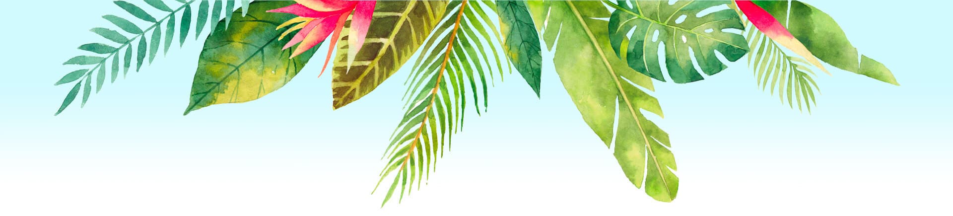 Liseré Bannière Cheveux Hei Poa Laboratoires Bioligo