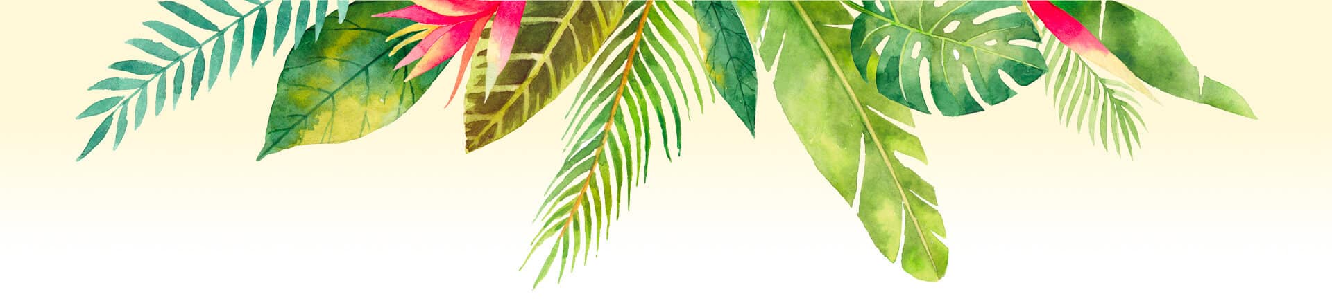 Liseré Bannière Corps Hei Poa Laboratoires Bioligo