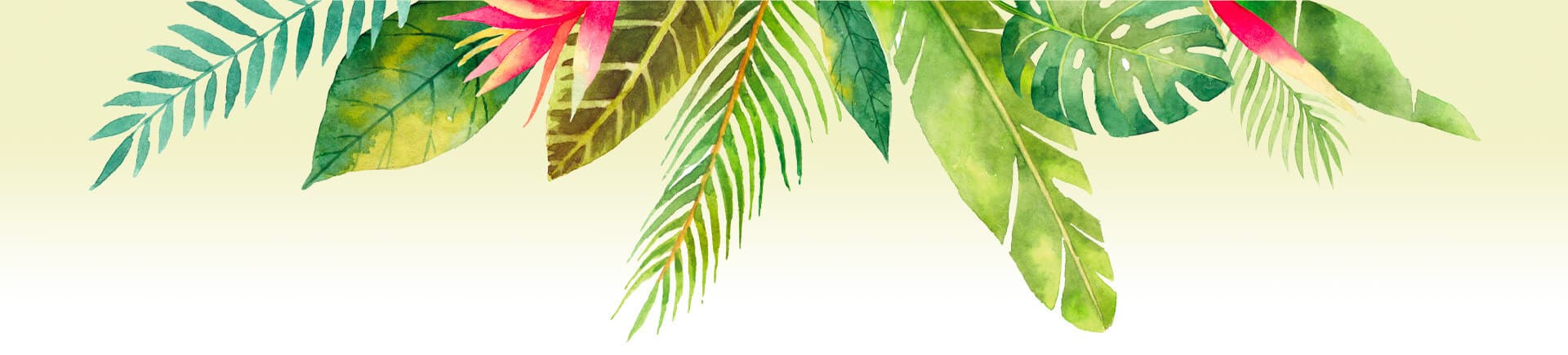 Liseré Bannière Monoï Hei Poa Laboratoires Bioligo