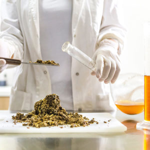 Production gelée royale Laboratoire Bioligo