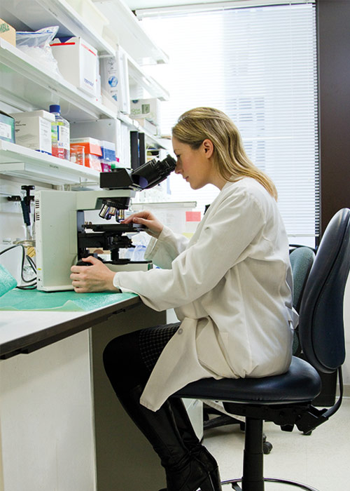 Analyse cheveux oligoéléments labo Laboratoire Bioligo